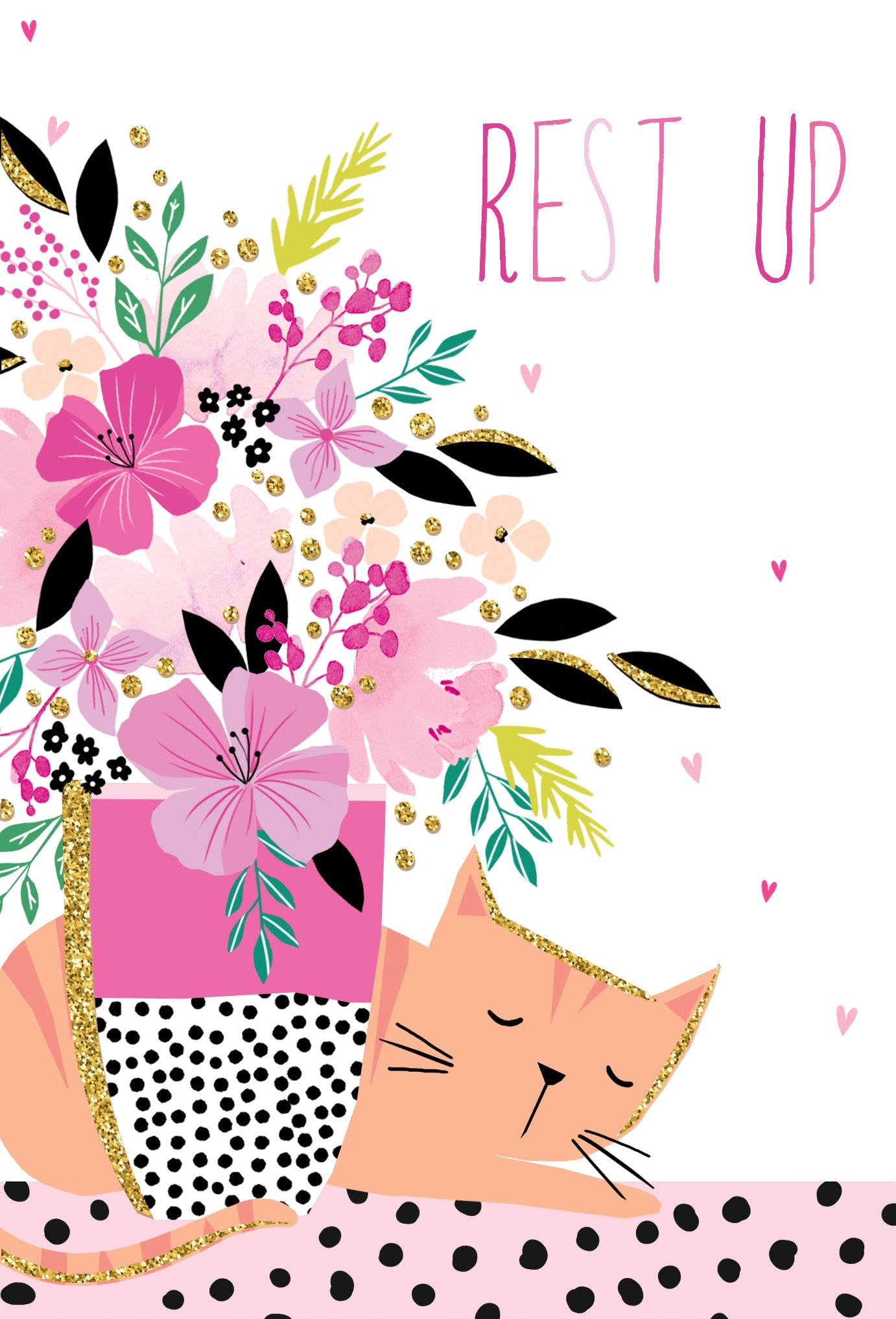 Sleeping Cat Get Well Card Sara Miller