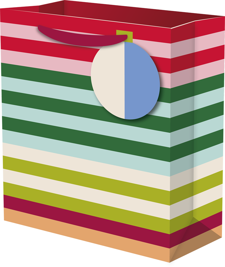 Medium Gift Bag - Seeing Stripes Block