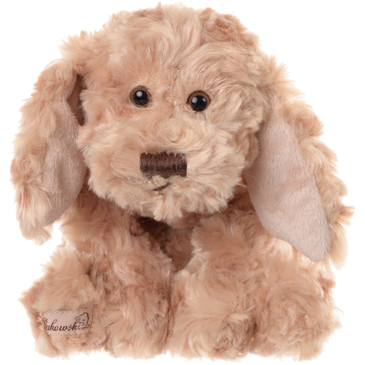 Buddy Dog