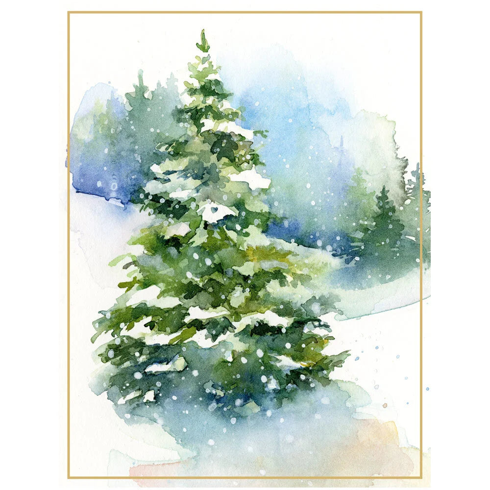 Boxed Christmas Cards - Evergreens In Snowy Field