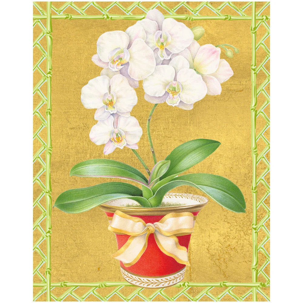 Petite Boxed Christmas Cards - White Orchid in Red Pot