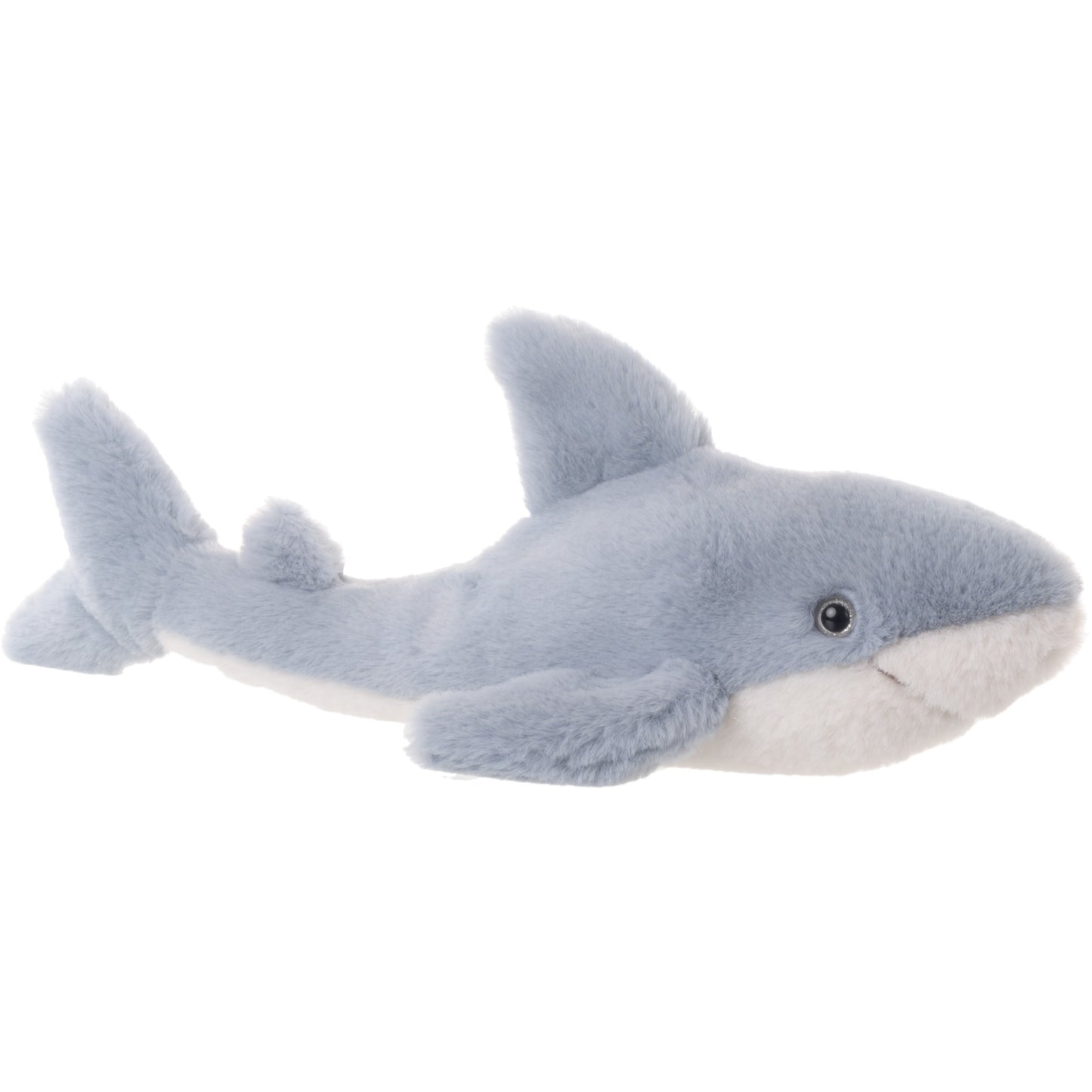 Splash Shark