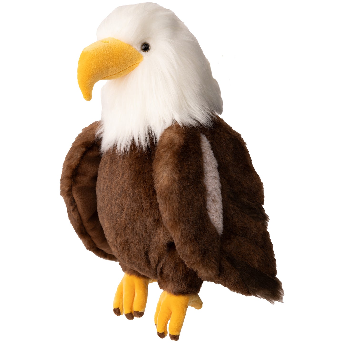 Scout Bald Eagle
