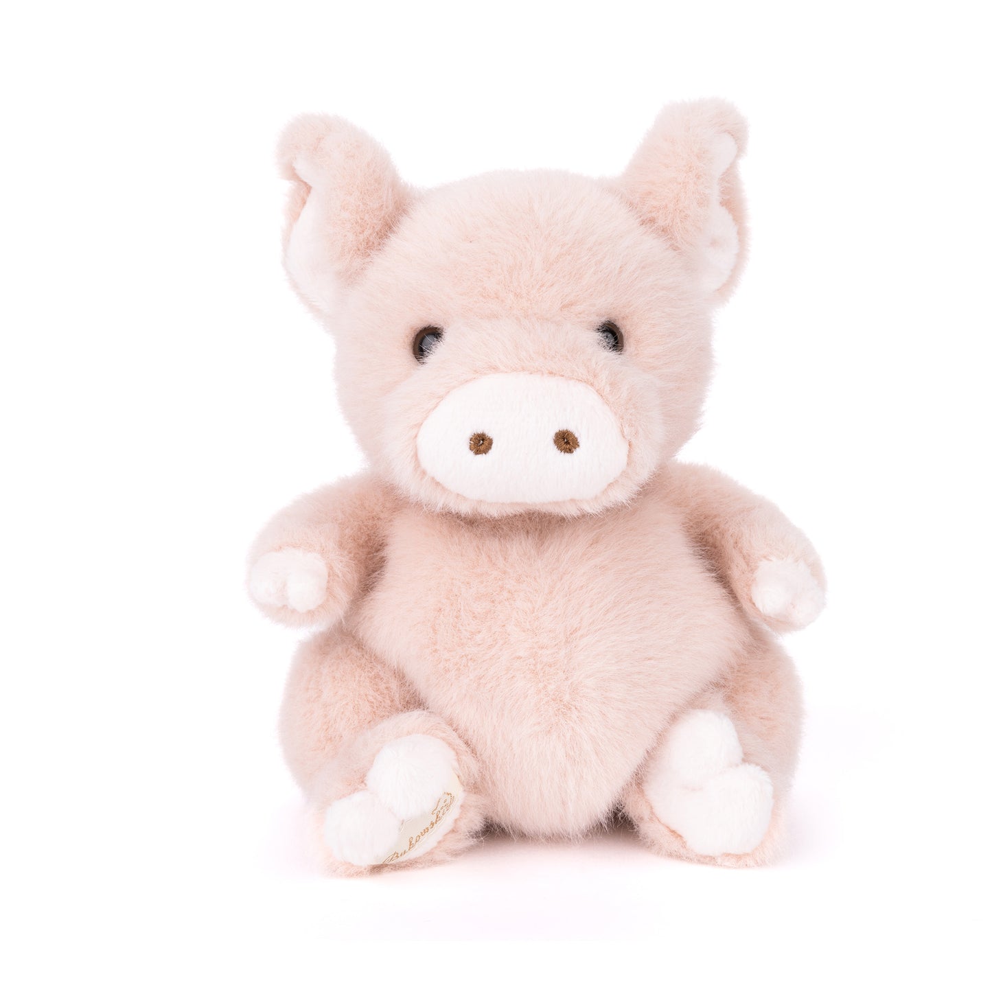 Baby Oink Pig