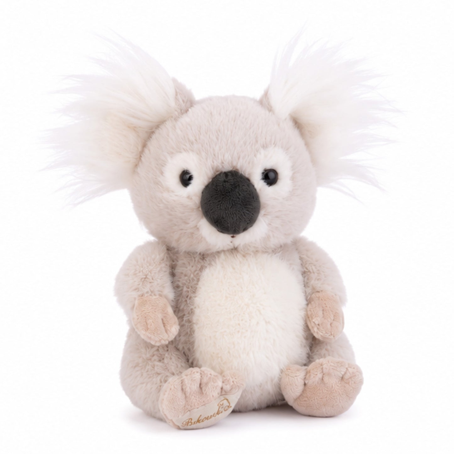 Baby Leona Koala