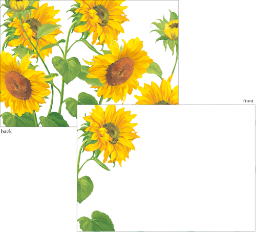Correspondence Cards - Sunflower Field