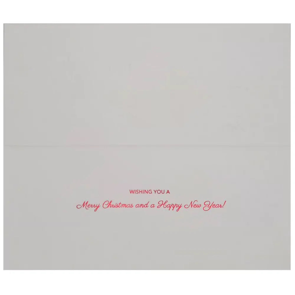 Boxed Christmas Cards - Row of Penguins