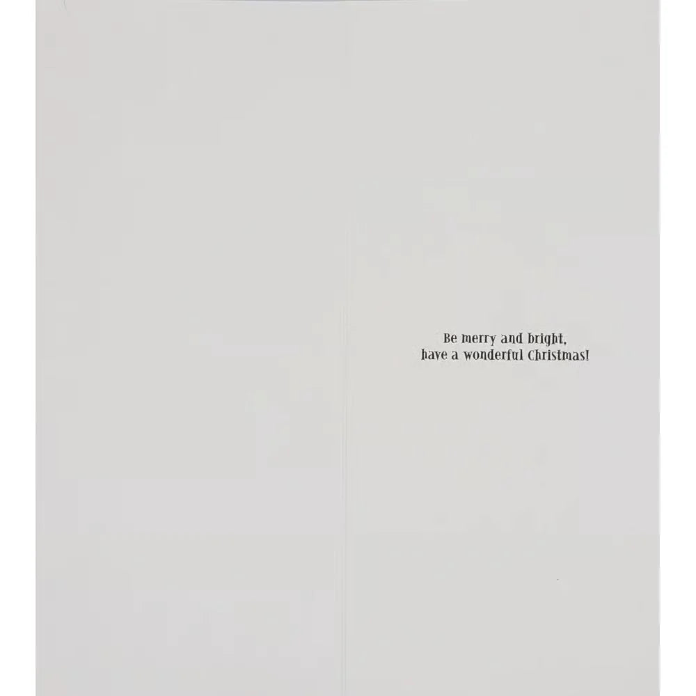 Boxed Christmas Cards - Santas on Bicycles