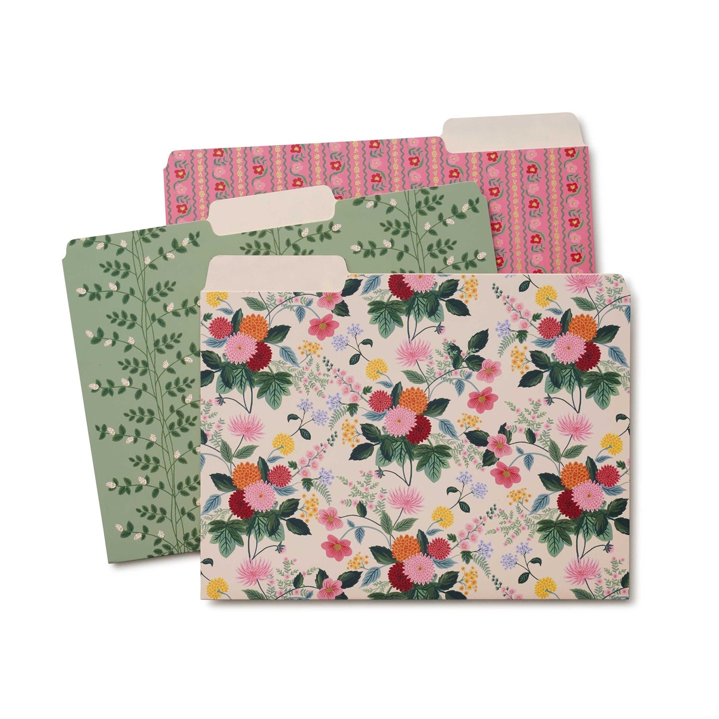 File Folder Set - Dahlia