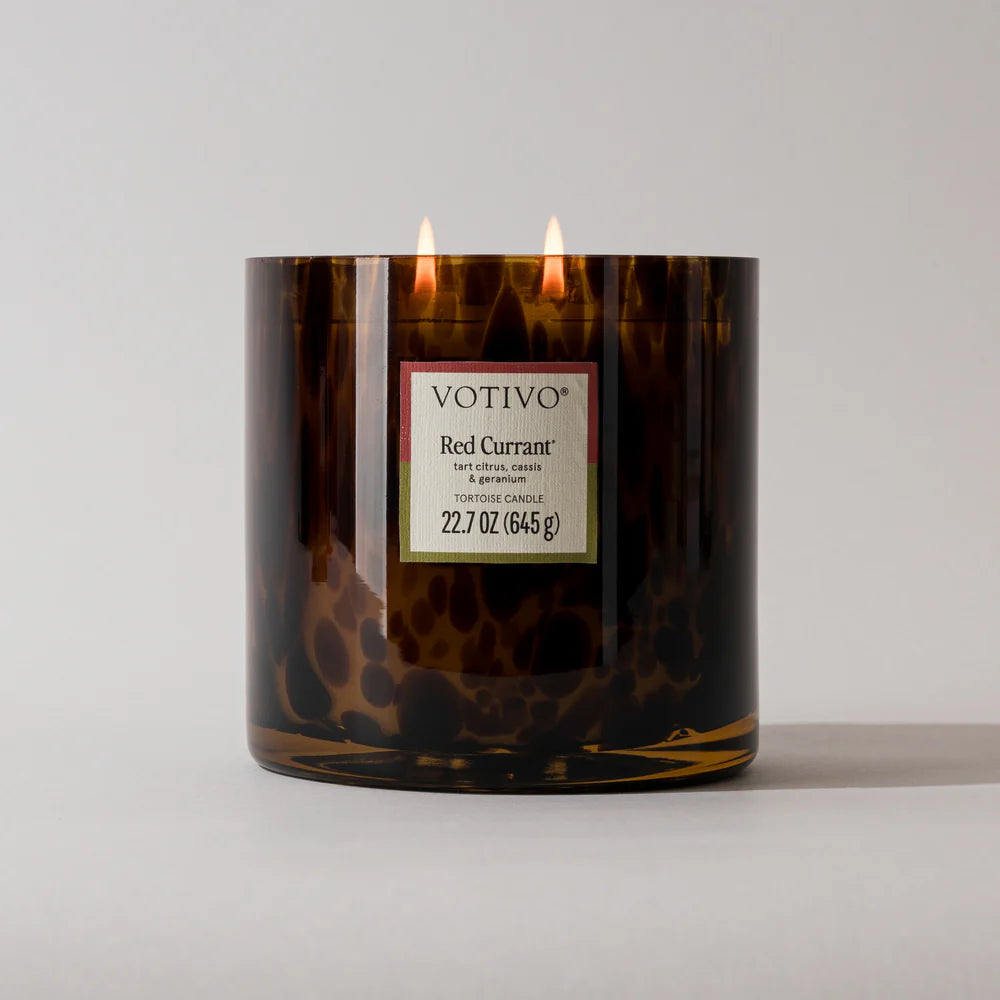 Tortoise Candle - Red Currant