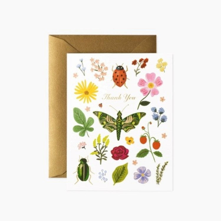 Boxed Set 8ct - Curio Thank You Cards