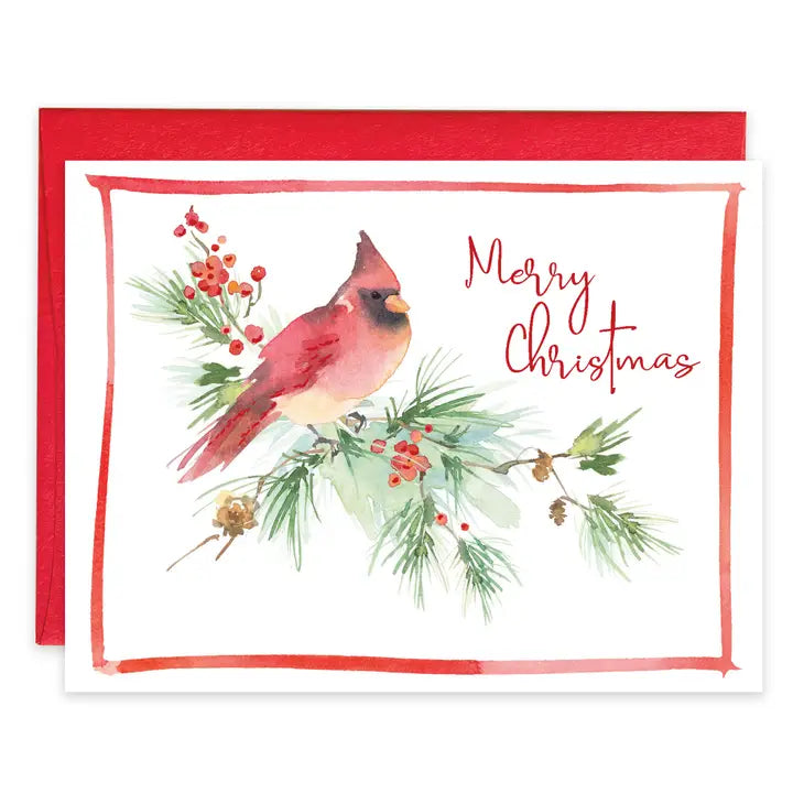 Boxed Christmas Cards - Cardinal On Pine