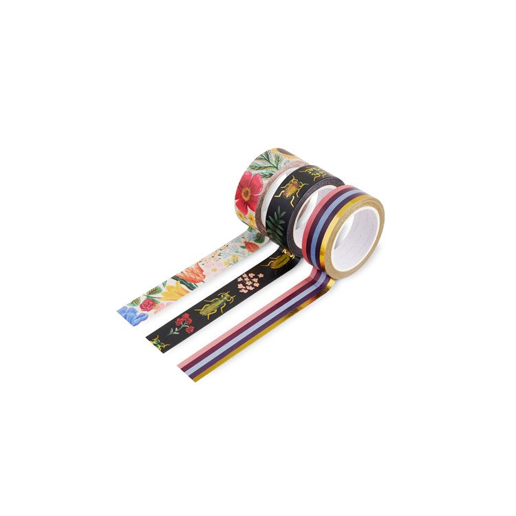 Curio Paper Tape