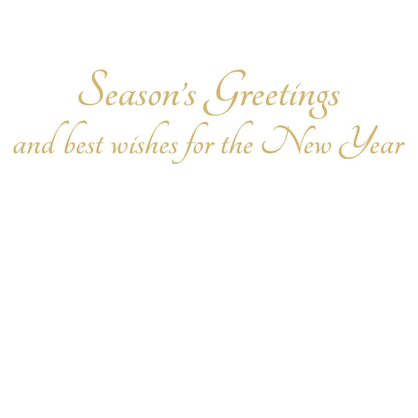 Boxed Christmas Cards - Winter Trees