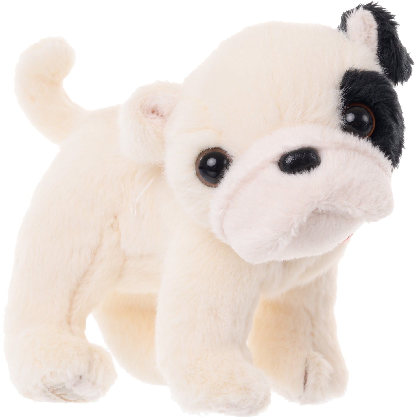 Baby Gentleman Dog
