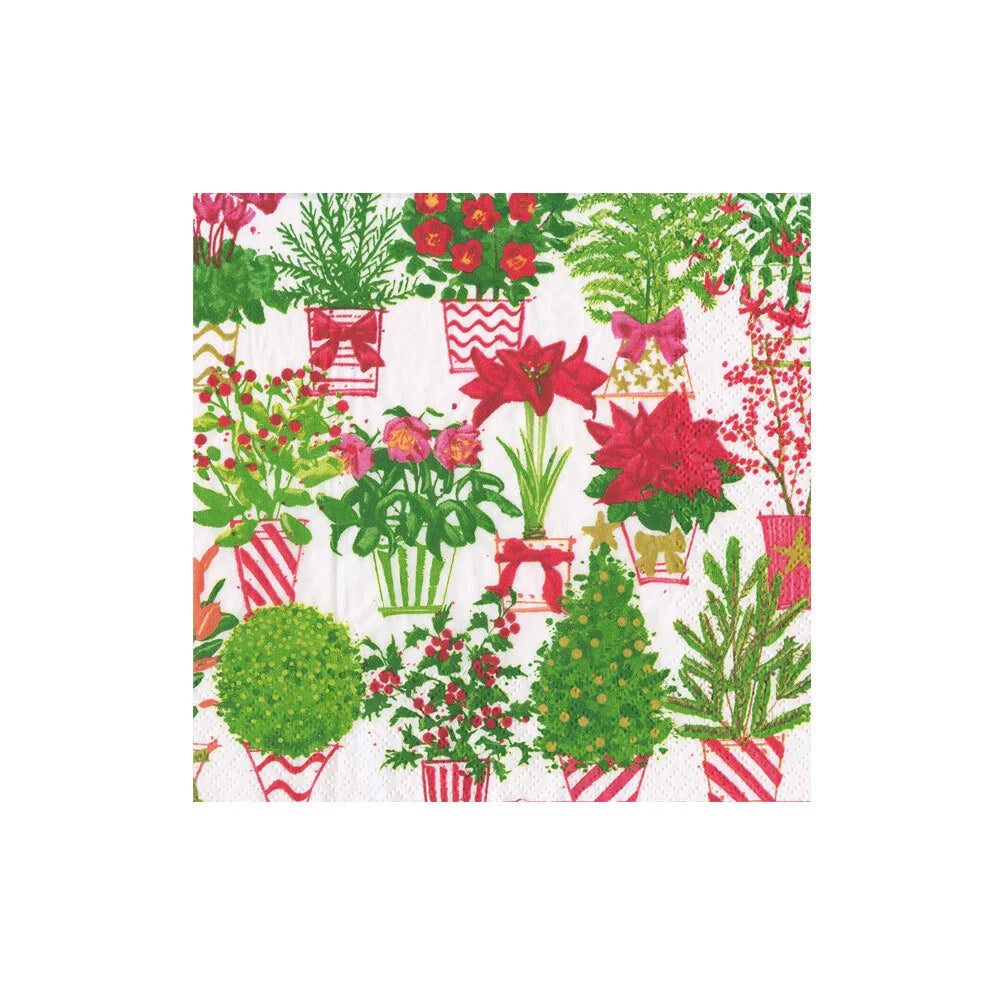 Cocktail Napkins - Christmas Flower Market