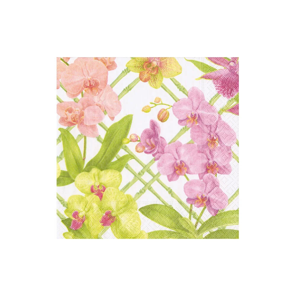 Cocktail Napkin - Orchid Conservatory