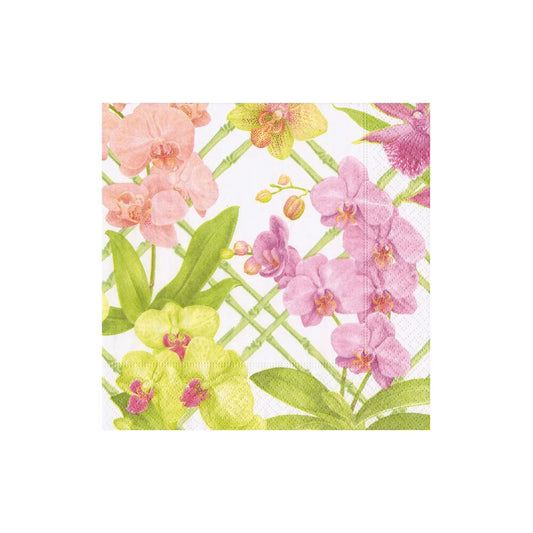 Cocktail Napkin - Orchid Conservatory