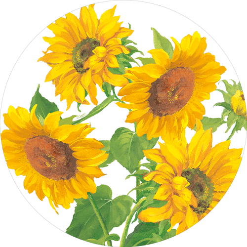 Salad/Dessert Plate - Sunflower Field