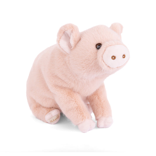 Sweet Oink Pig