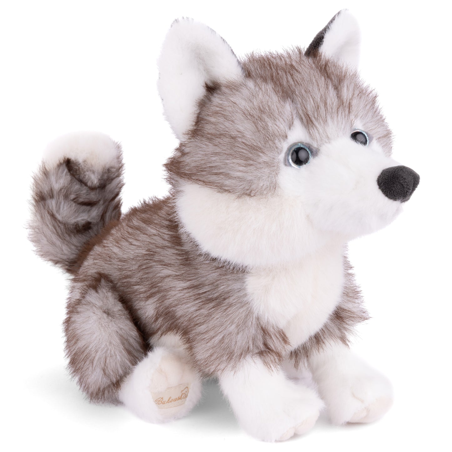 Sweet Husky