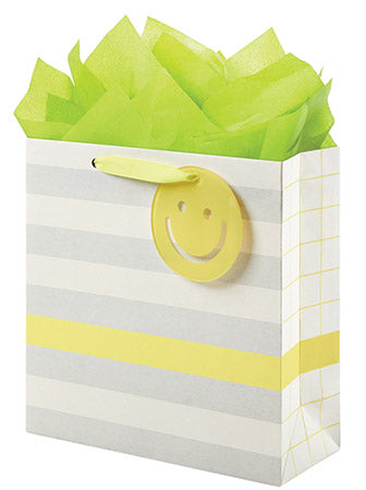 Medium Gift Bag - Stripe and Checkerboard