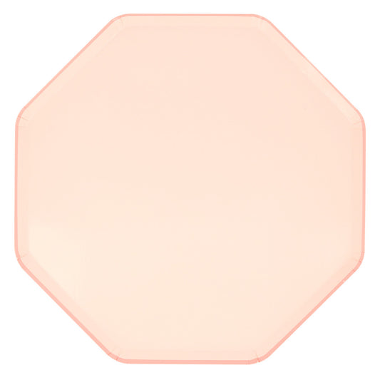 Dinner Plates - Ballet Slipper Pink