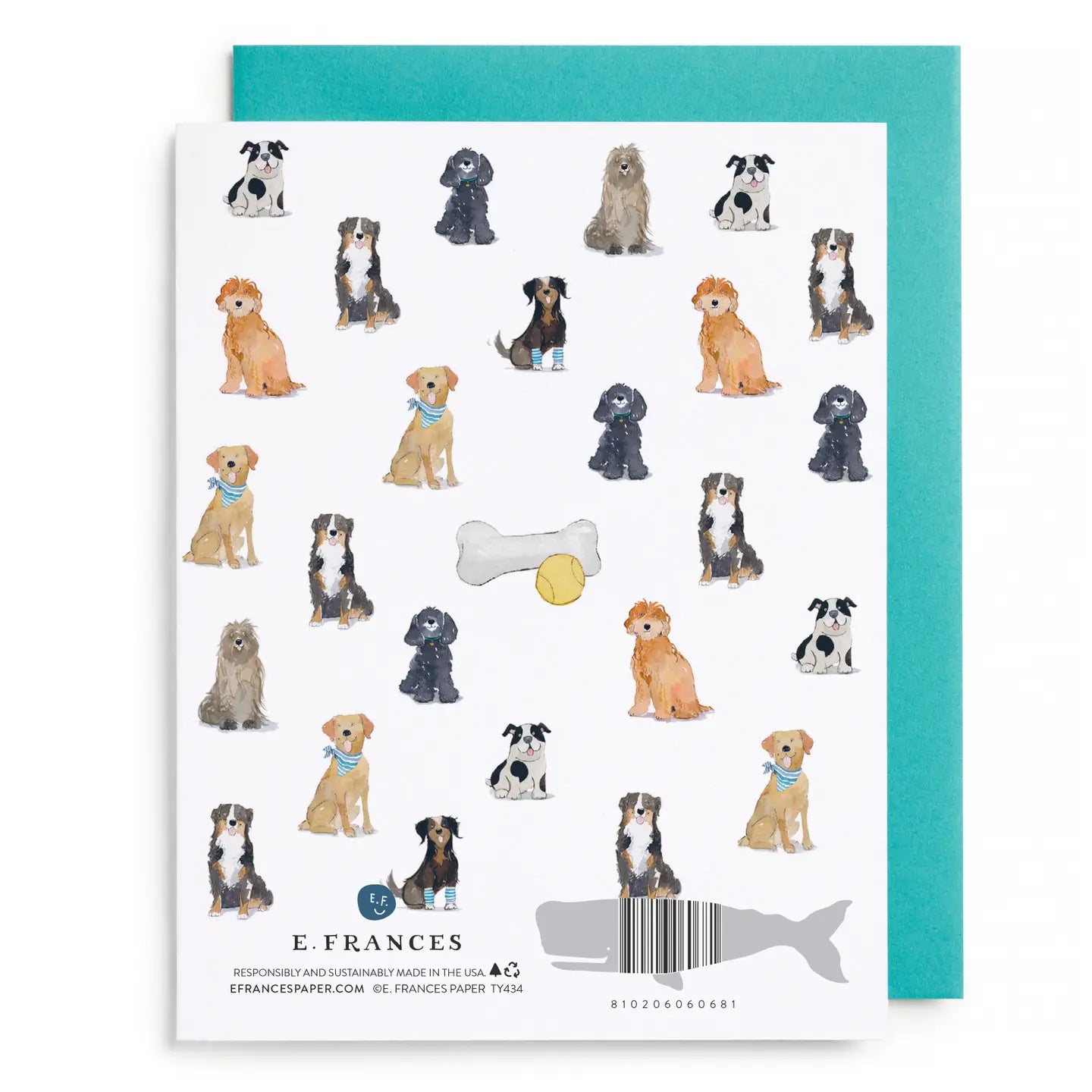 Greeting Card - Doggy Thank You