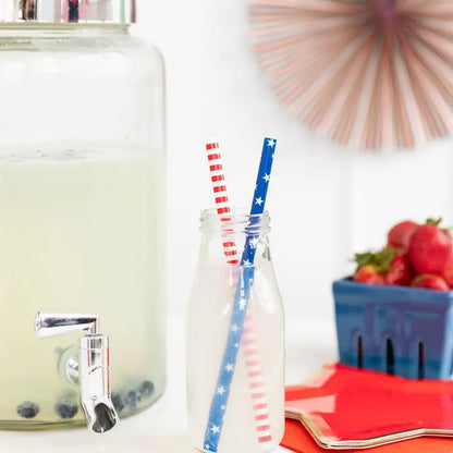 Reusable Straws - Red, White and Blue