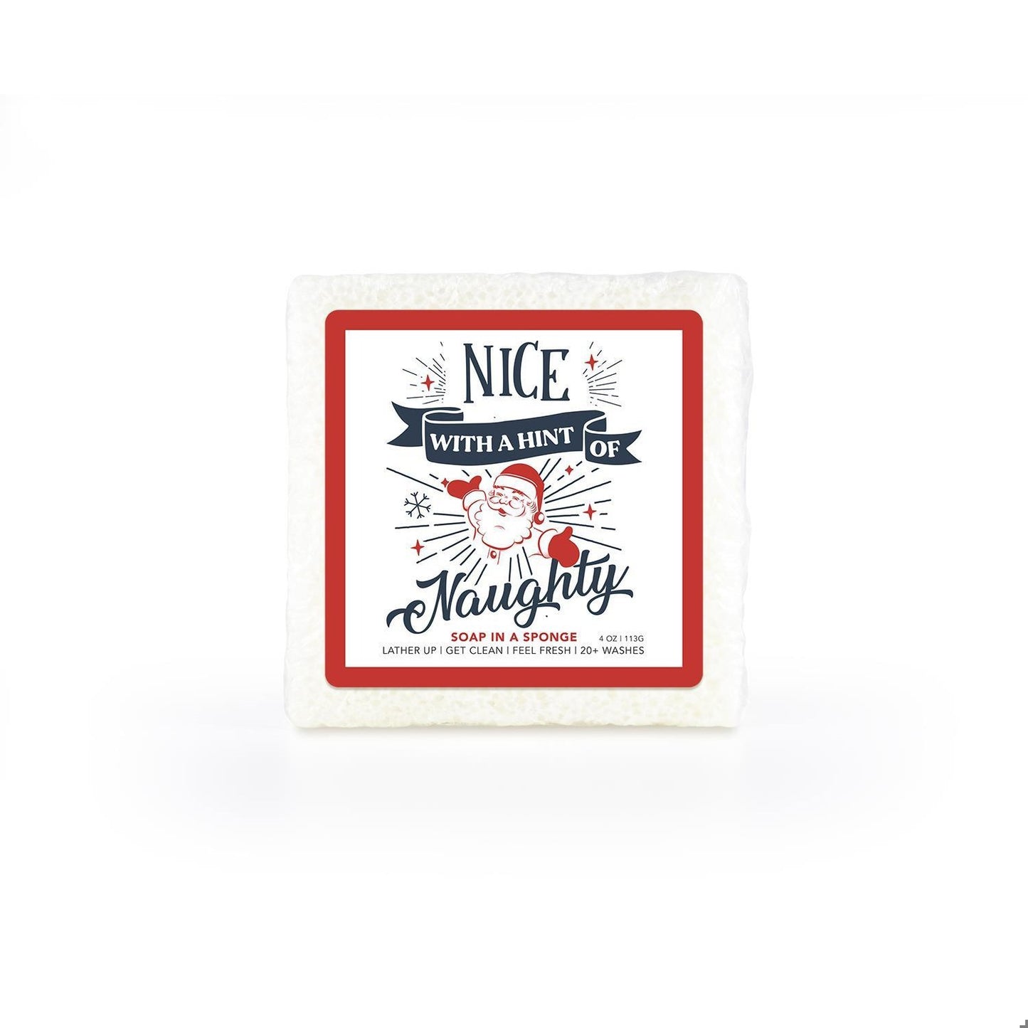 Nice with a Hint of Naughty Soap Sponge