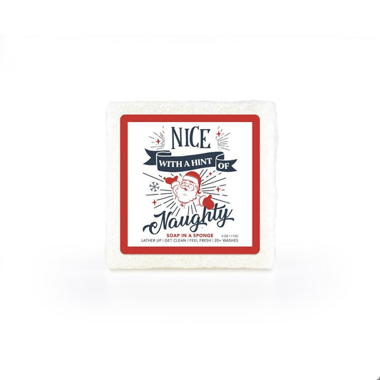 Nice with a Hint of Naughty Soap Sponge
