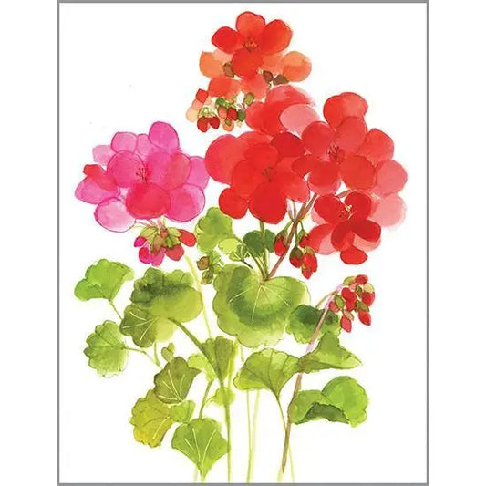 Boxed Cards - Red Geraniums