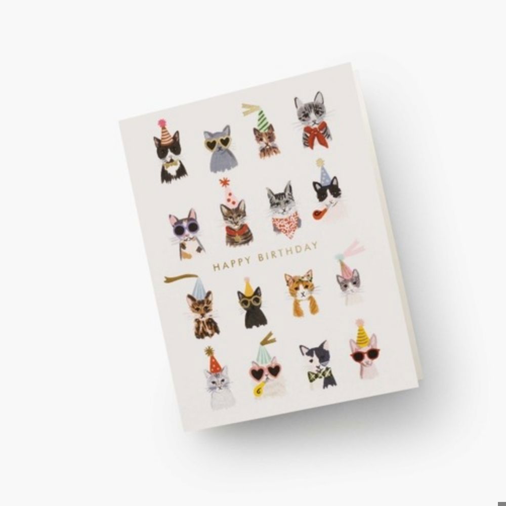 Boxed Set - Cool Cats Birthday Cards