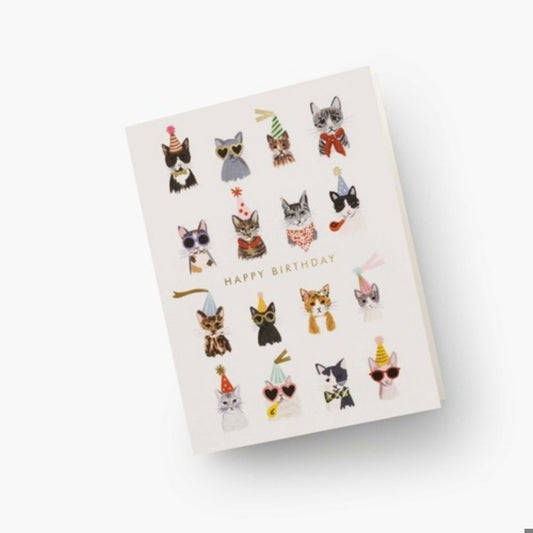 Boxed Set - Cool Cats Birthday Cards