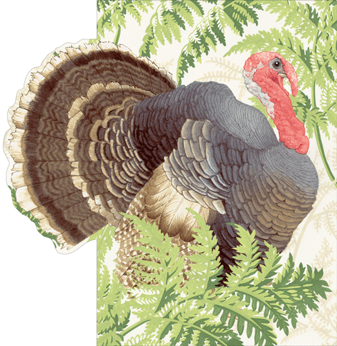 Fall Card - Turkey And Ferns