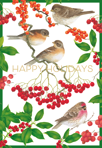 Christmas Card -  Birds And Berries Foil