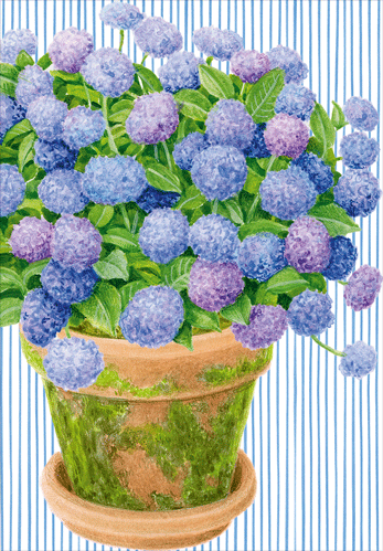 Die-Cut Birthday Card -  Potted Hydrangeas E