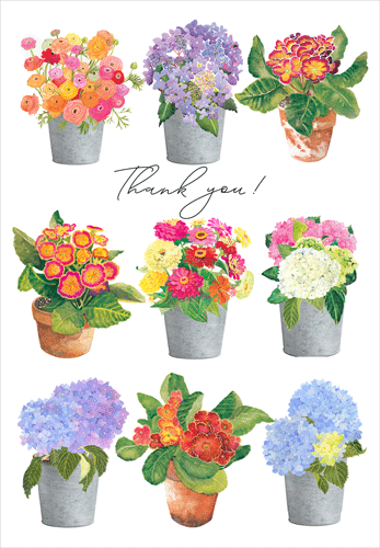 Thank You Card - Potted Flowers