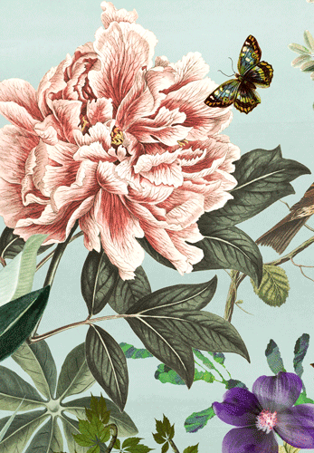 Sympathy Card -  Turning Peony