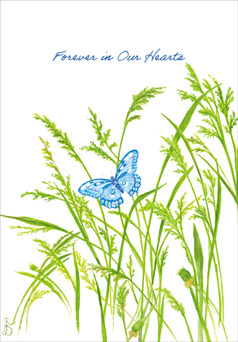 Sympathy Card -  Butterfly And Grasses
