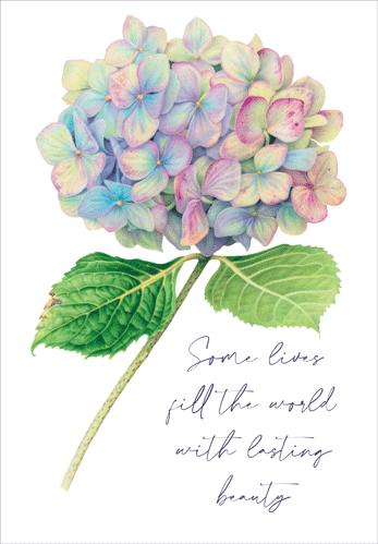 Sympathy Card -  Hydrangea
