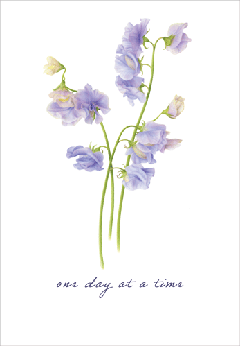 Get Well Card - Sweetpeas
