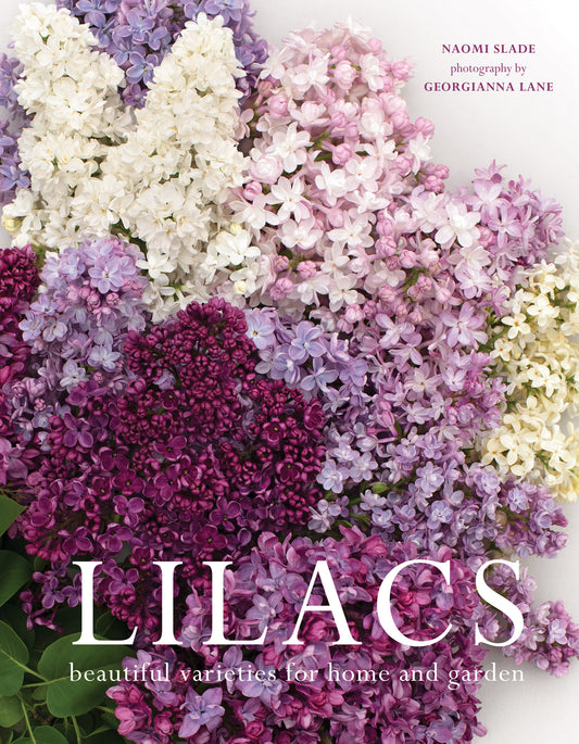 Lilacs Book
