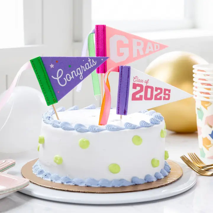 Mini Felt Pennant Set - Pink Graduation