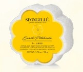 Daisy Spongette - Sweet Patchouli