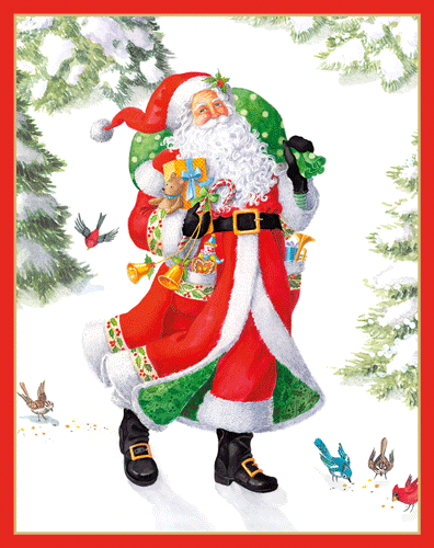 Boxed Christmas Cards - Snowy Santa