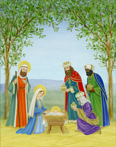 Boxed Christmas Cards - Nativity In Trees