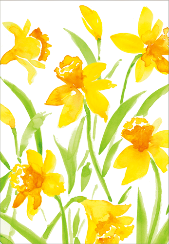 Thinking of You Card - Daffodil Field