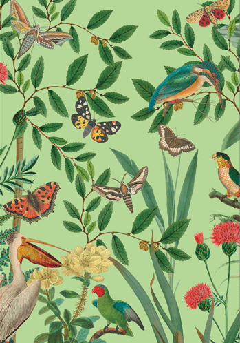 Sympathy Card - Birds And Butterflies