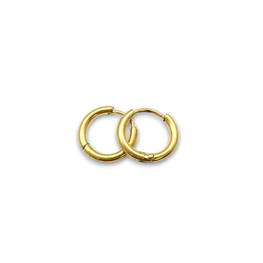 Tiny Gold Hoop Earrings